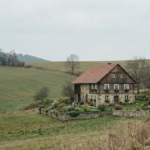 İlişkilerde Narsisistik Örüntüler ve İlişkisel Dinamikler