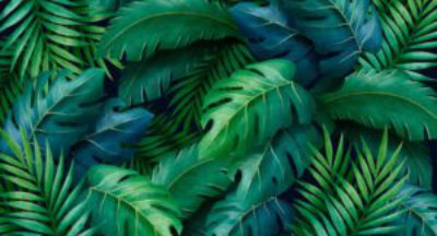 Mikro Aldatma ve İlişkiler