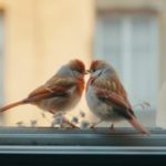 İlişkilerde Değişim ve Güçlü Bağların Sırları